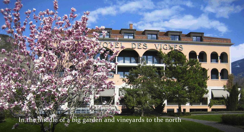 Hotel Des Vignes Saint-Leonard Exterior photo